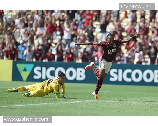 沙佩科恩斯足球传奇:不屈不挠的星光照亮永恒记忆 沙佩科恩斯足球传奇:不屈不挠的星光照亮永恒记忆