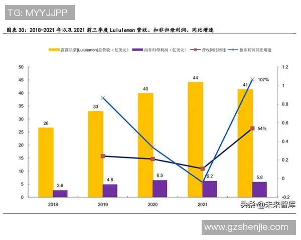 足球球星高额收入与税收政策对体育产业公平发展的深远影响分析 足球球星高额收入与税收政策对体育产业公平发展的深远影响分析